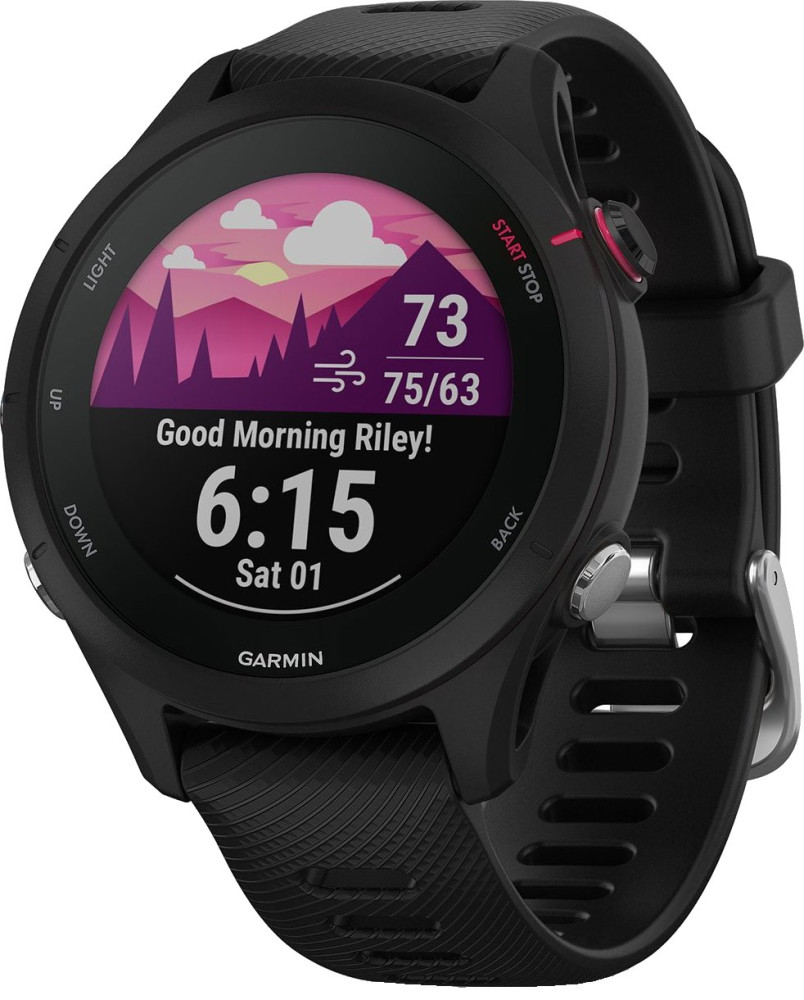 Смартгодинник Garmin Forerunner 255S Music