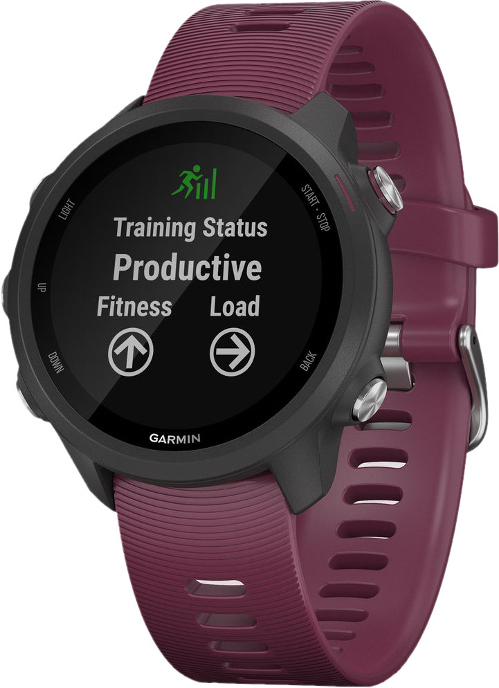 Смартгодинник Garmin Forerunner 245