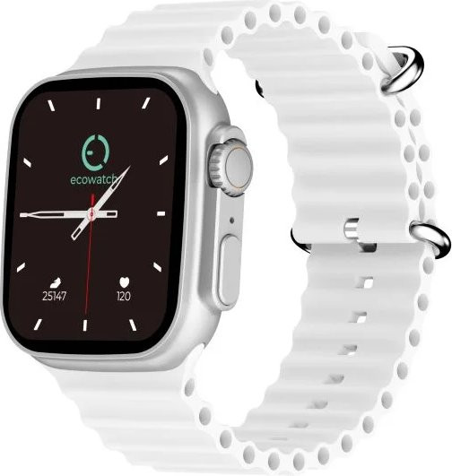 Умные часы Maxcom Ecowatch 2