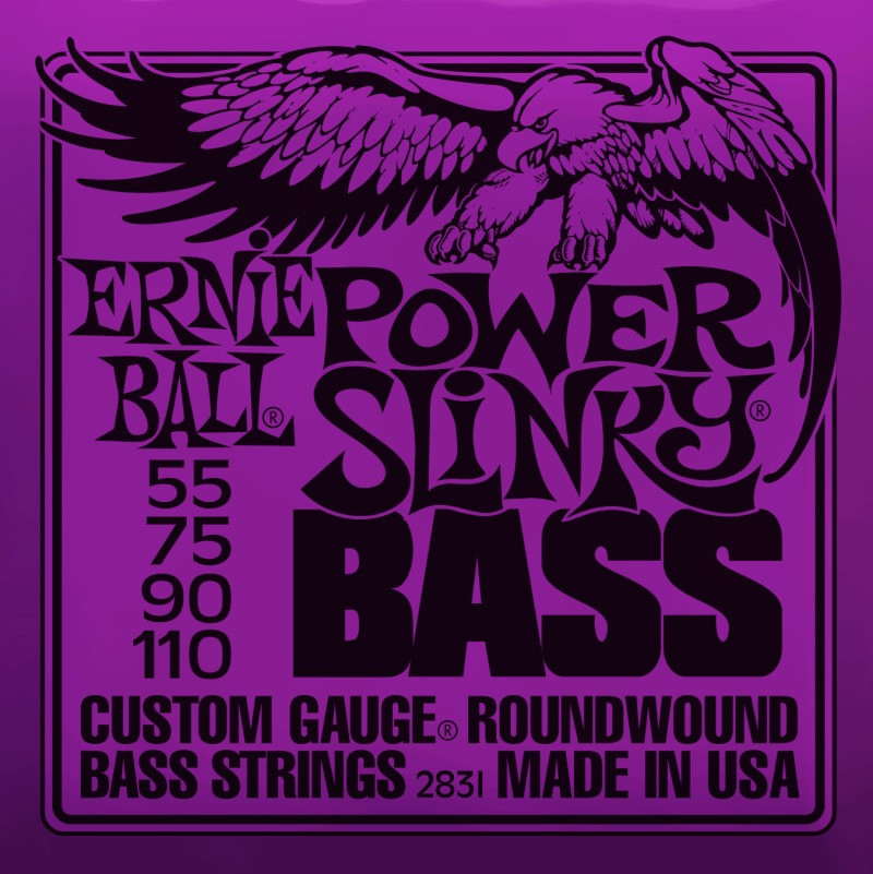 Струни Ernie Ball Slinky Nickel Wound Bass 55-110 (2831)