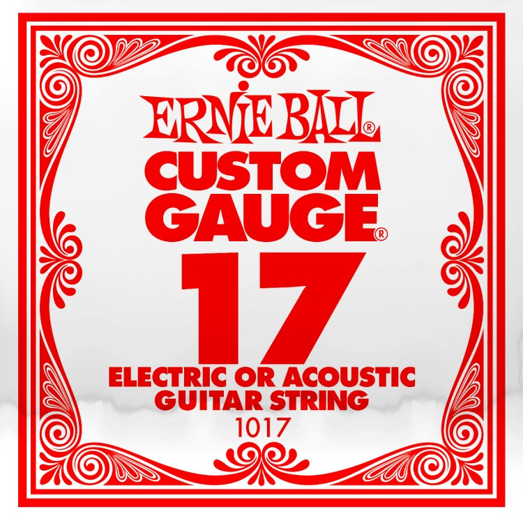 Струны Ernie Ball Single Plain Steel 17 (1017)