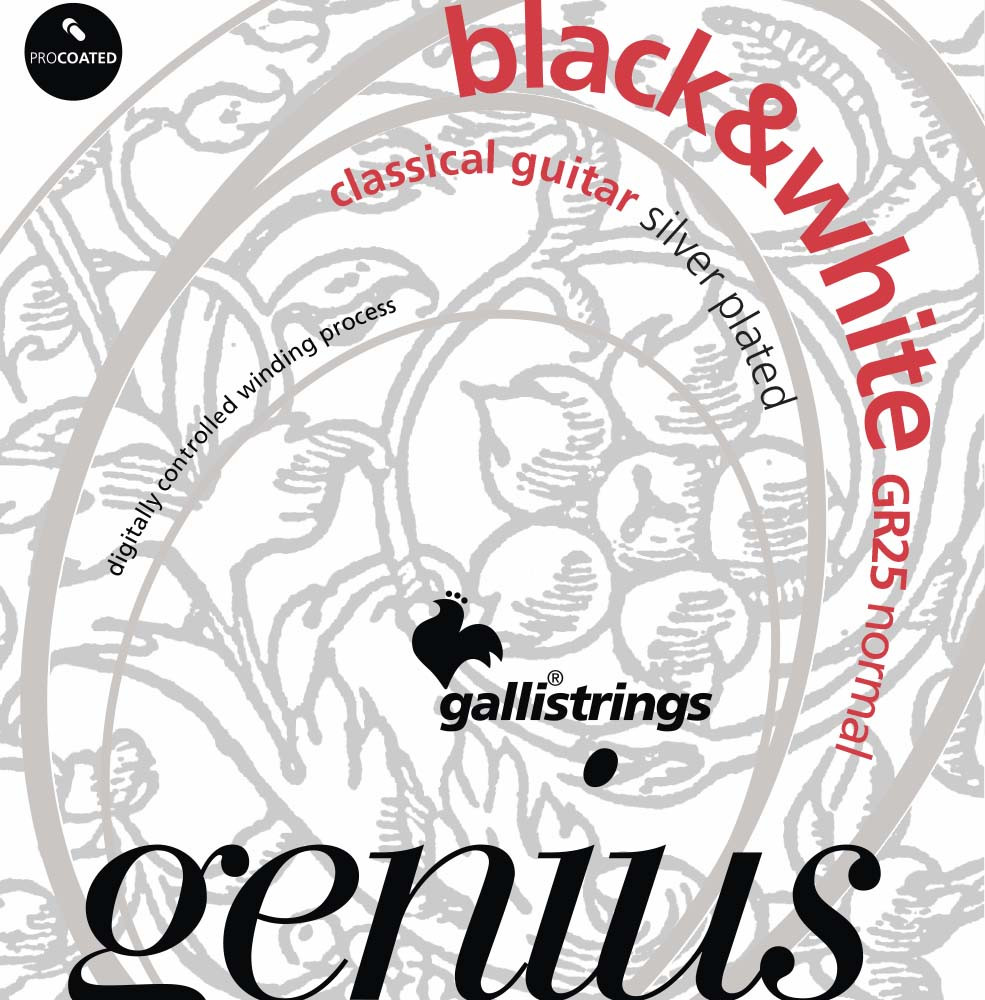 Струны Galli GR25