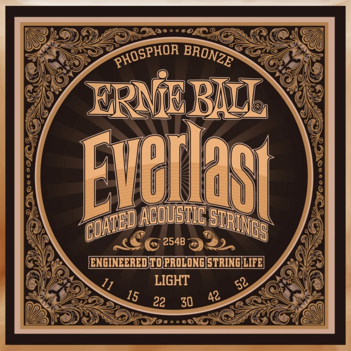 Струны Ernie Ball Everlast Coated Phosphor Bronze 11-52 (2548)