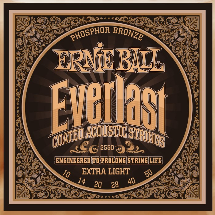 Струны Ernie Ball Everlast Coated Phosphor Bronze 10-50 (2550)