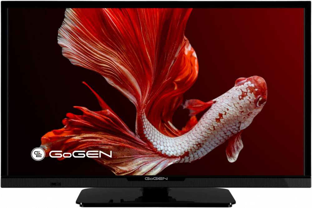 Телевизор Gogen TVH 24P352T