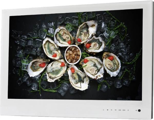 Телевизор Avel AVS240WS