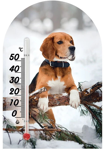 Термометр / барометр Steklopribor 300623