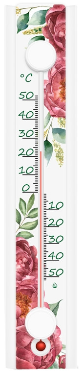 Термометр / барометр Steklopribor 300158