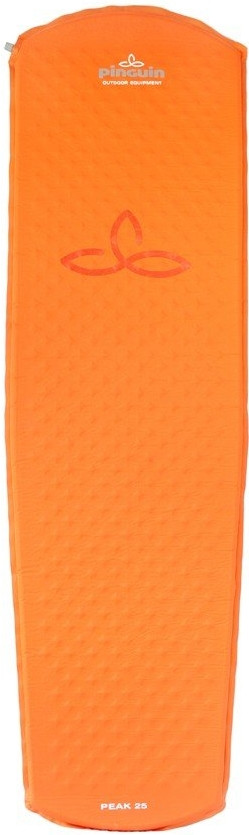 Туристический коврик Pinguin Peak 38