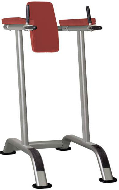 Брусья AeroFIT IT7010