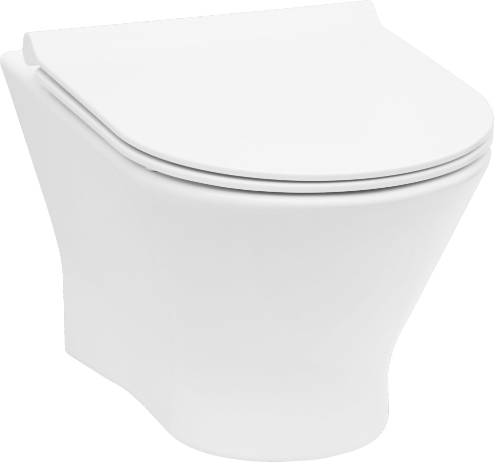 Унитаз Roca Nexo A34H64L000