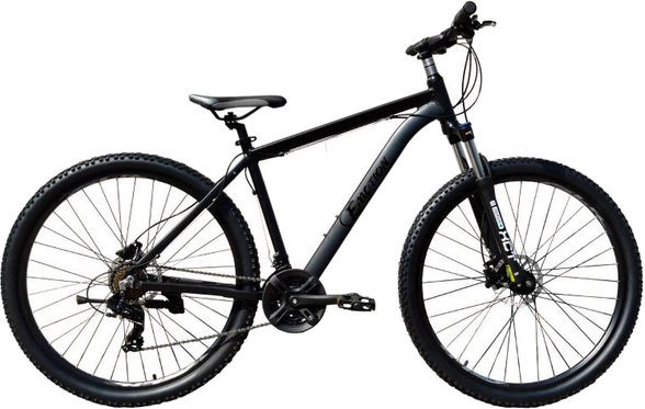 Велосипед E-Motion MTB 29 GT frame 21