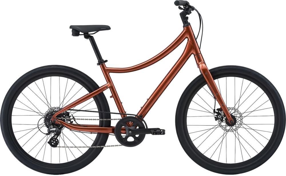 Велосипед Giant Momentum Vida 2023 frame M