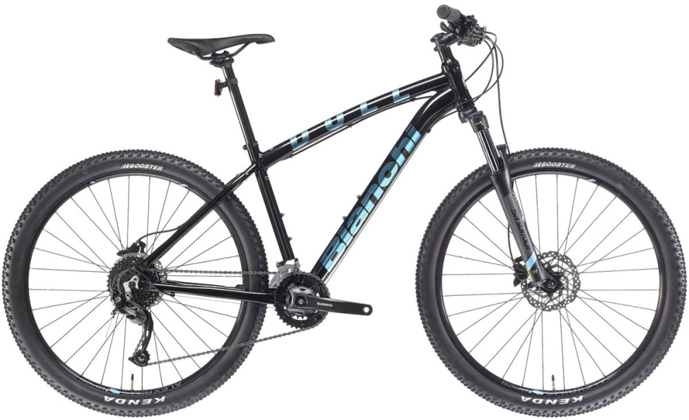 Велосипед Bianchi Duel Alivio Mix 29 2021 frame M