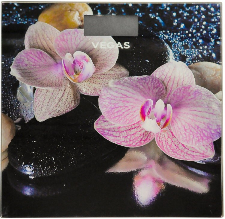 Весы Vegas VFS-3148FS