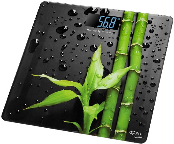 Весы Gallet PEP 953