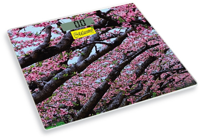 Весы Maestro MR-1823