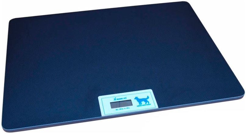 Ваги Momert 6681