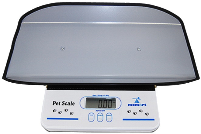 Ваги Momert 6550