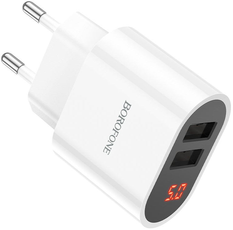 Зарядное устройство Borofone BA63A Richy