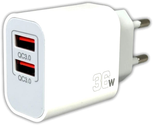 Зарядное устройство Remzona Giwell Twin 36W