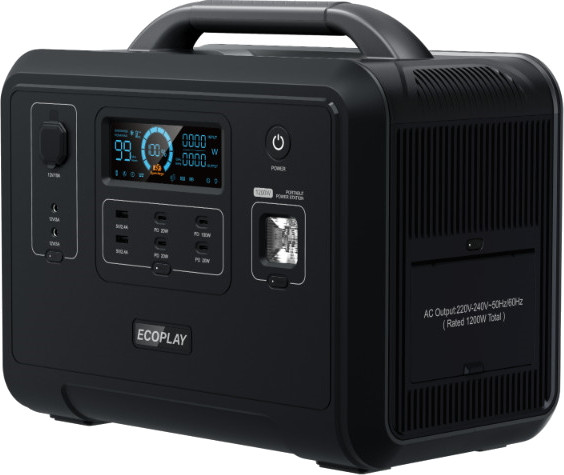 Зарядная станция EcoPlay P1201